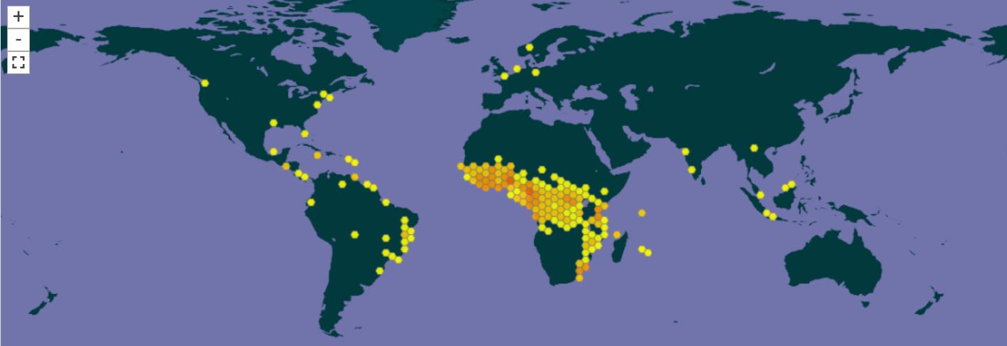 via GBIF (Quelle/Link siehe Text) gesicherte Vorkommen (rund 26.500) von aktuell (Mai 2025) 142 Kolaspezies, inkl. botanische Gärten weltweit